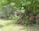 Borgo Colderba garden