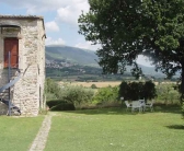 La torre-15
