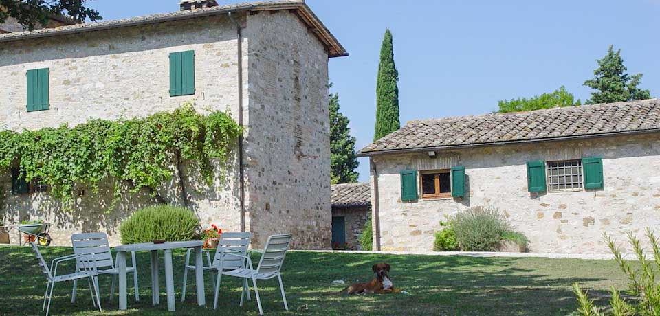 Agriturismo Borgocolderba esterno con cane